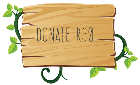 Donate R30 button
